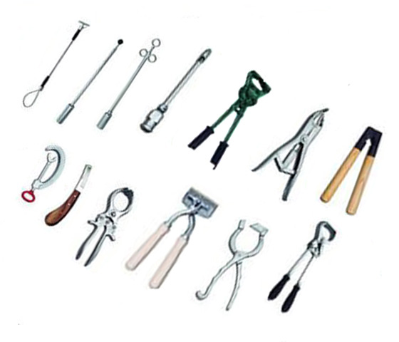 Veterinary Surgical Instruments